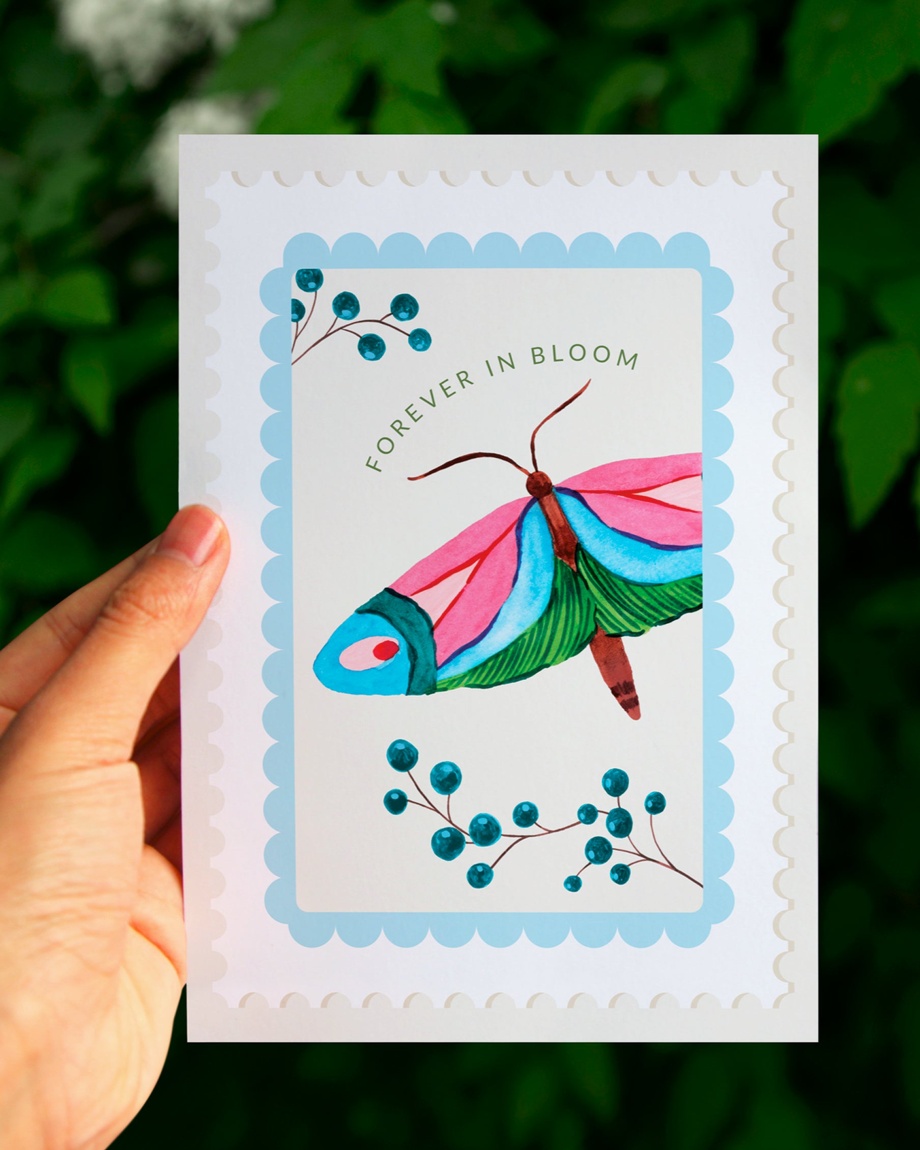Farasha Greeting Cards - Set Of 4